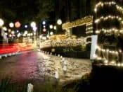 "Christmas in the Redwoods" Holiday Lights Drive in Sonoma County (Dec. 5-21)