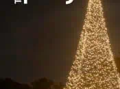 "Light Up Your Holiday" + 2025 Tree Lighting (Napa Valley Museum of Art & Culture)