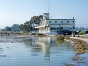 Free King Tides Walk + Science Talk (Palo Alto)