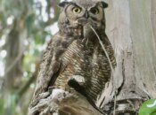 Free Presidio Night Walk (SF)