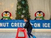 Walnut Creek on Ice ('Til Jan. 19, 2026)