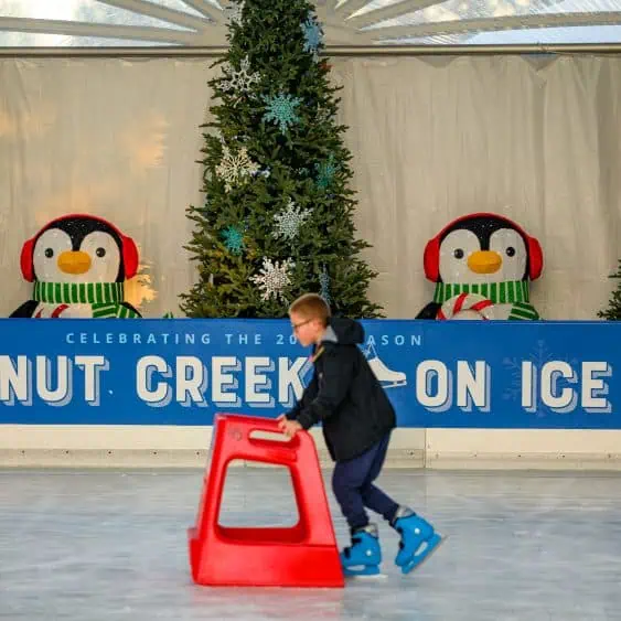 Walnut Creek on Ice ('Til Jan. 19, 2026)