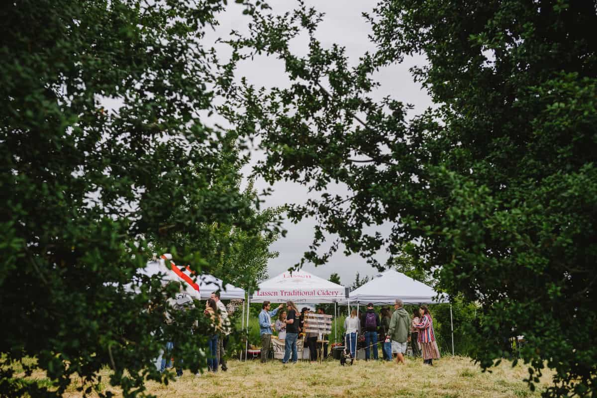 Cider Circus (Petaluma)