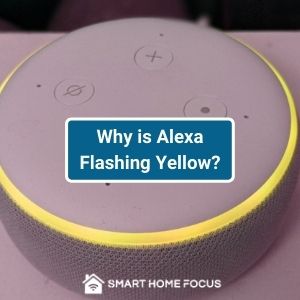 why is alexa flashing yellow
