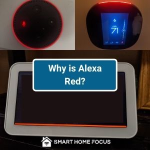 Why is Alexa Red