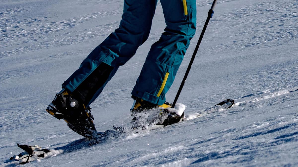 The Best Backcountry Ski Bindings: Top 5 Of 2024 | SnowSunSee