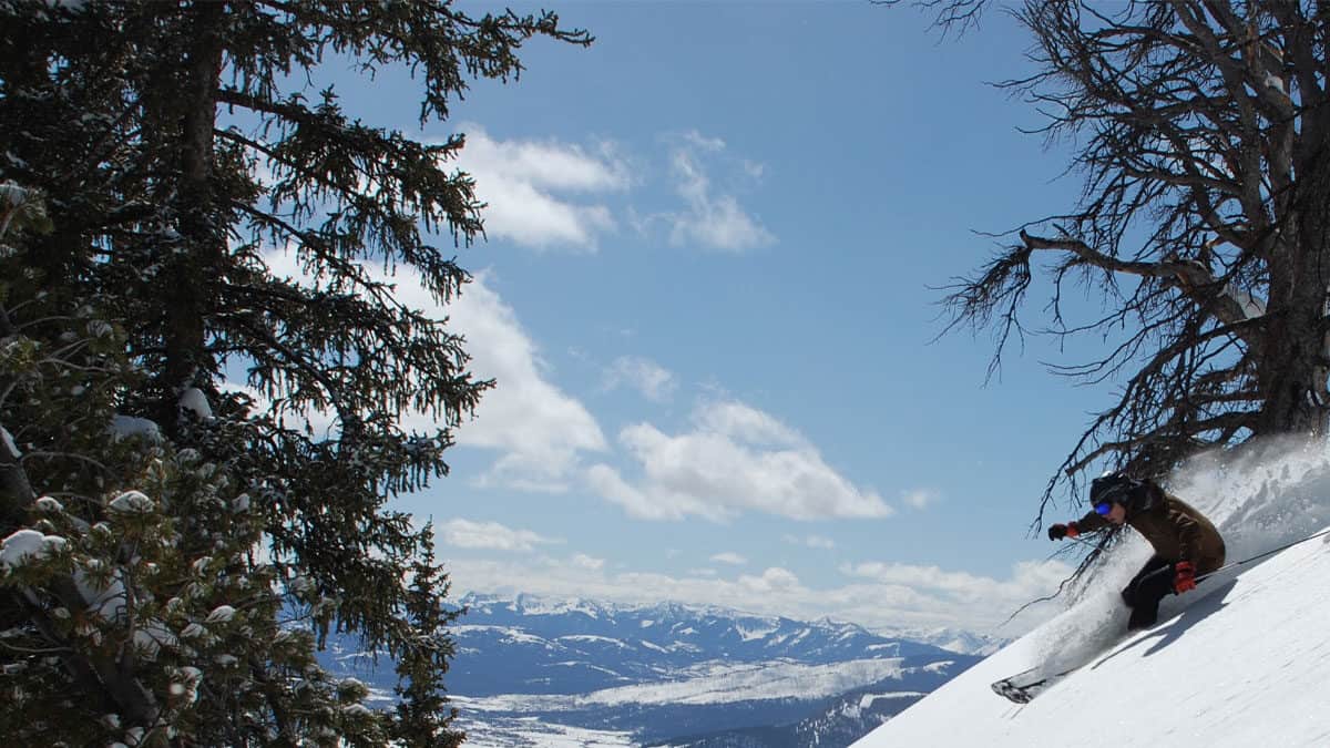 Best Skis For Tree Skiing