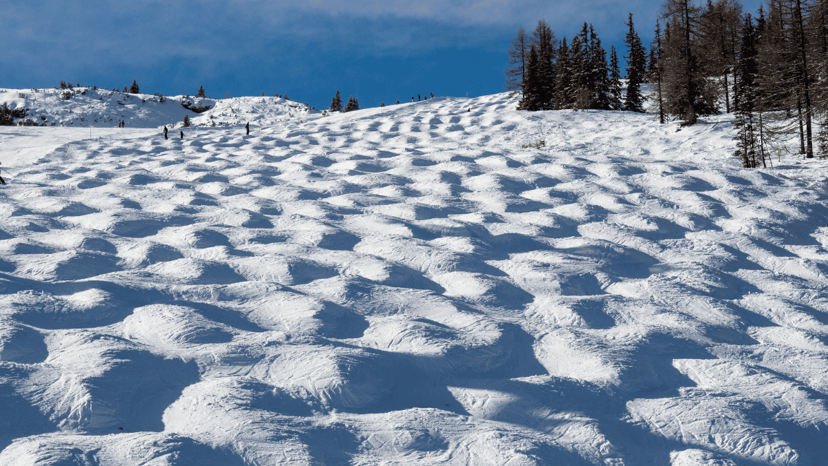 Mogul Field