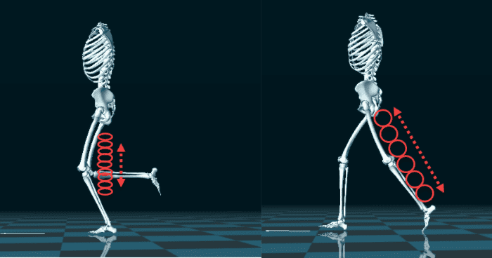 Hip Extension – It's A Long Road