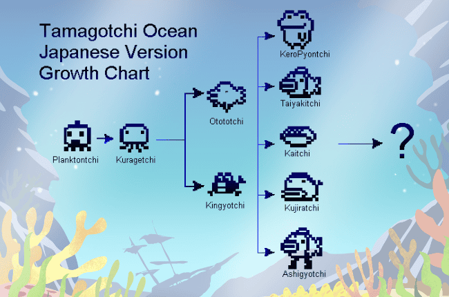 Tamagotchi Ocean Japanese Version Growth Chart