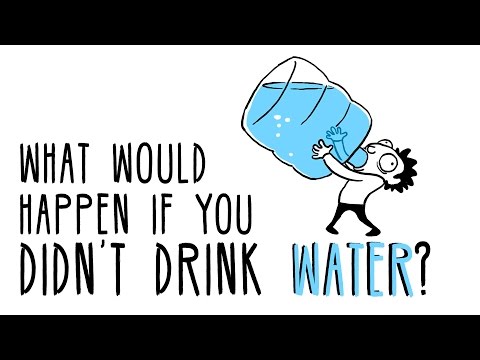 What would happen if you didn’t drink water?