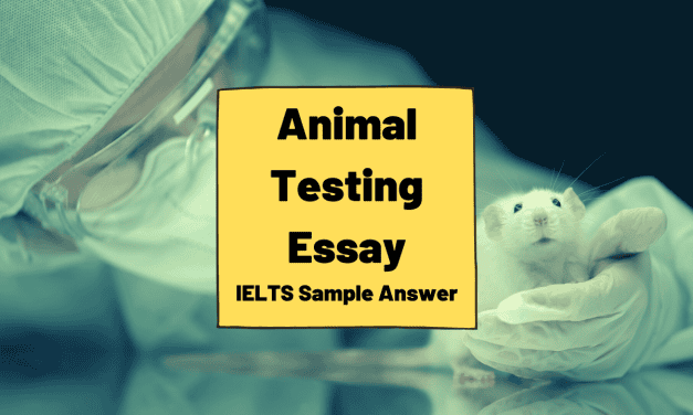 Animal Testing Essay