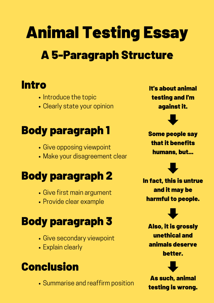 animal testing essay structure