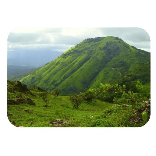 Chandragiri Hills at Baba Budan’s coffee plantation in Karnataka, India