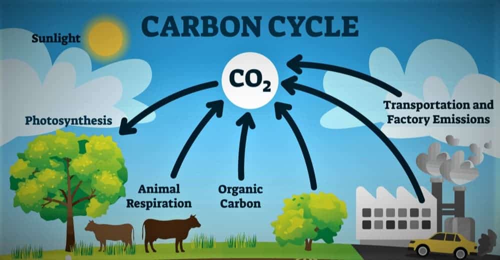 carbon-offset methods