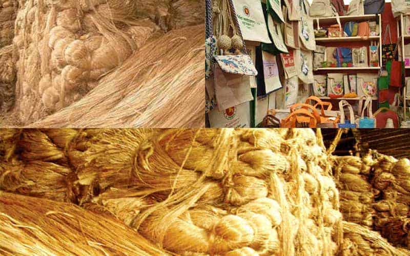 bangladesh govt. emphasized to use jute based packaging systems 