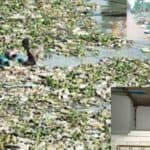 cork sheet is one of the causes of environmental pollution and cities waterlogging   