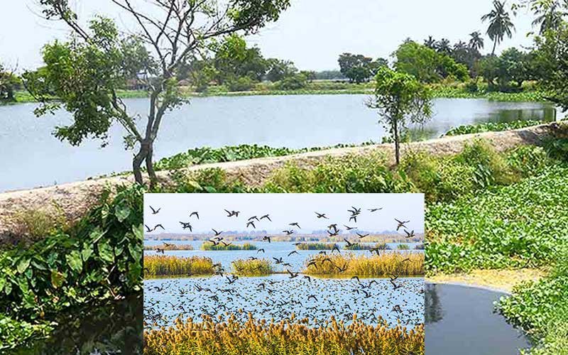 bangladesh government has taken two new projects that aim to conserve wetland biodiversity