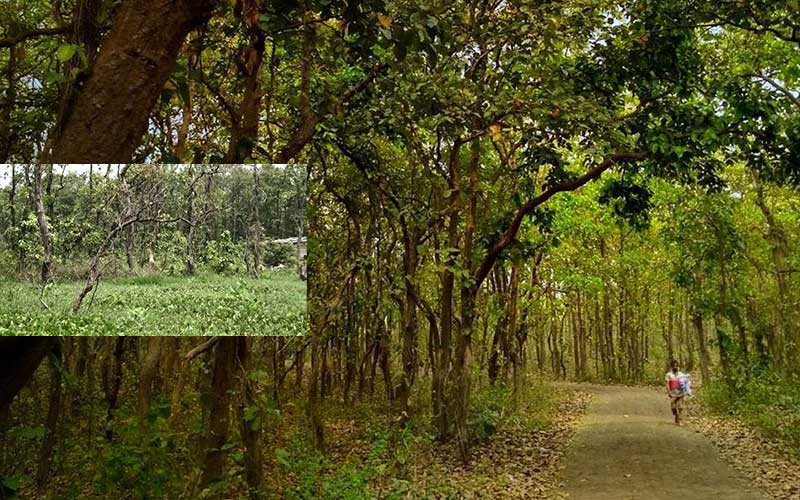 environmental degradation in gazipur, dhaka, due to urbanization and industrialization