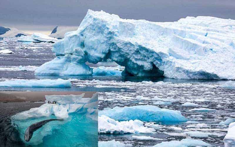 mysterious treasure lies beneath the surface of antarctica