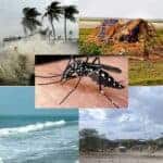 dengue infection is increasing due to climate change