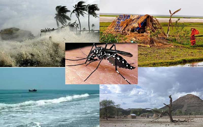 dengue infection is increasing due to climate change