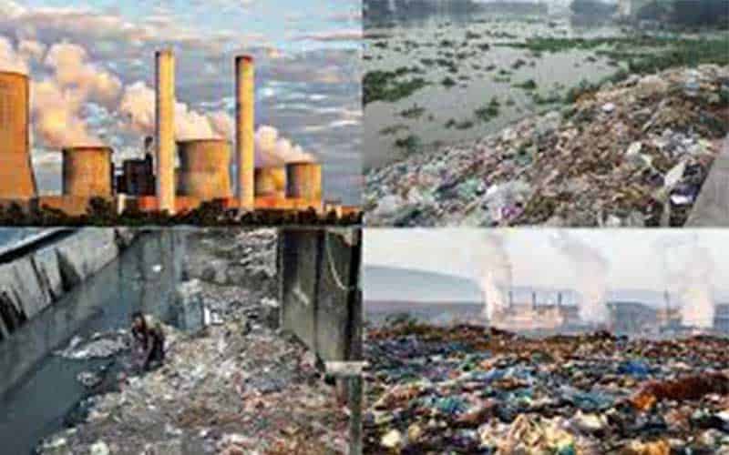 government determined to protect environment, environment advisor of bangladesh