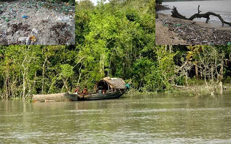 sharing knowledge and experiences to combat plastic and polythene pollution was held at phathorghata, bangladesh