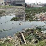 the mayur river is nearly dead because of waterlogging