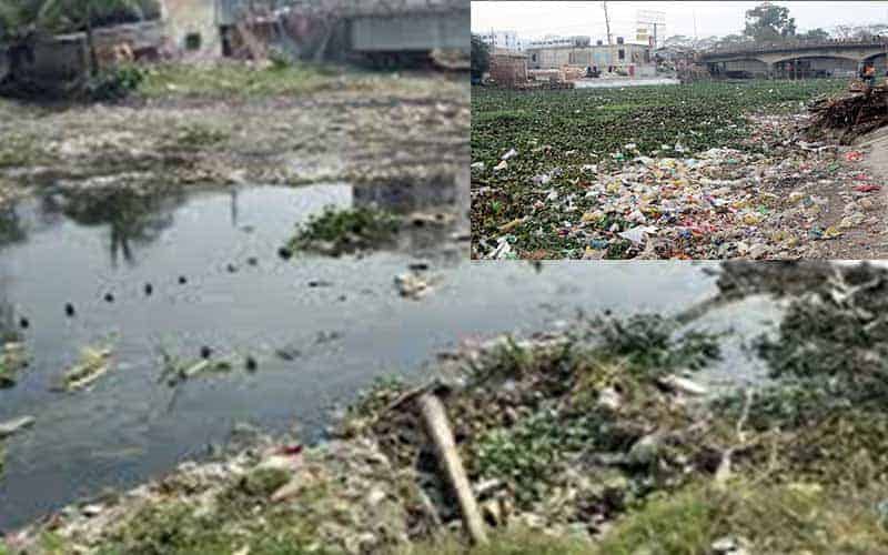 the mayur river is nearly dead because of waterlogging