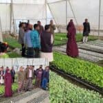 a couple from mymensingh, bangladesh, are self sufficient by producing seedlings in a polynet house