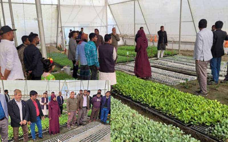 a couple from mymensingh, bangladesh, are self sufficient by producing seedlings in a polynet house