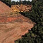 brazil prepares for unfccc cop 30 by cutting down trees in the amazon forest