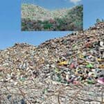the world will drown in plastic waste if production is not stopped