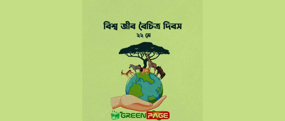 international day for biological diversity 2025 celebrated