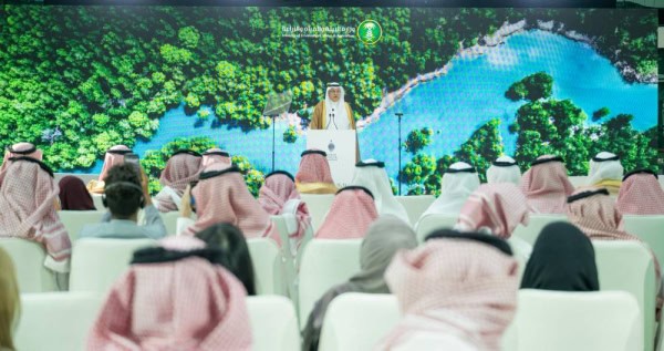 Dubai and Saudi Arabia to build over 1,000 rainwater dams in a bid to achieve sustainable development
