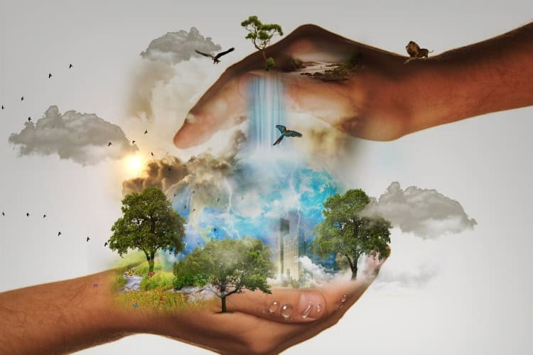 The Roots of the Environmental Crisis, Technology or Spiritual Disconnection?