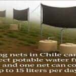 Drinking water is being collected by creating fog traps in the Atacama Desert