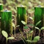 Canada has made biodegradable batteries from trees