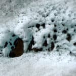 carbon direct air capture is about to become economically viable