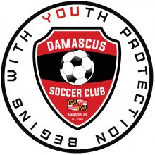 Youth Protection Emblem