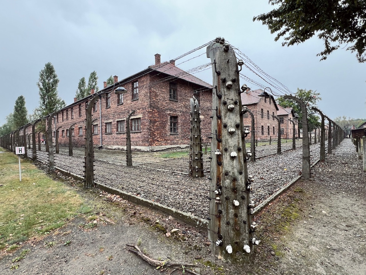 Buildings and barbed wire fences at Auschwitz