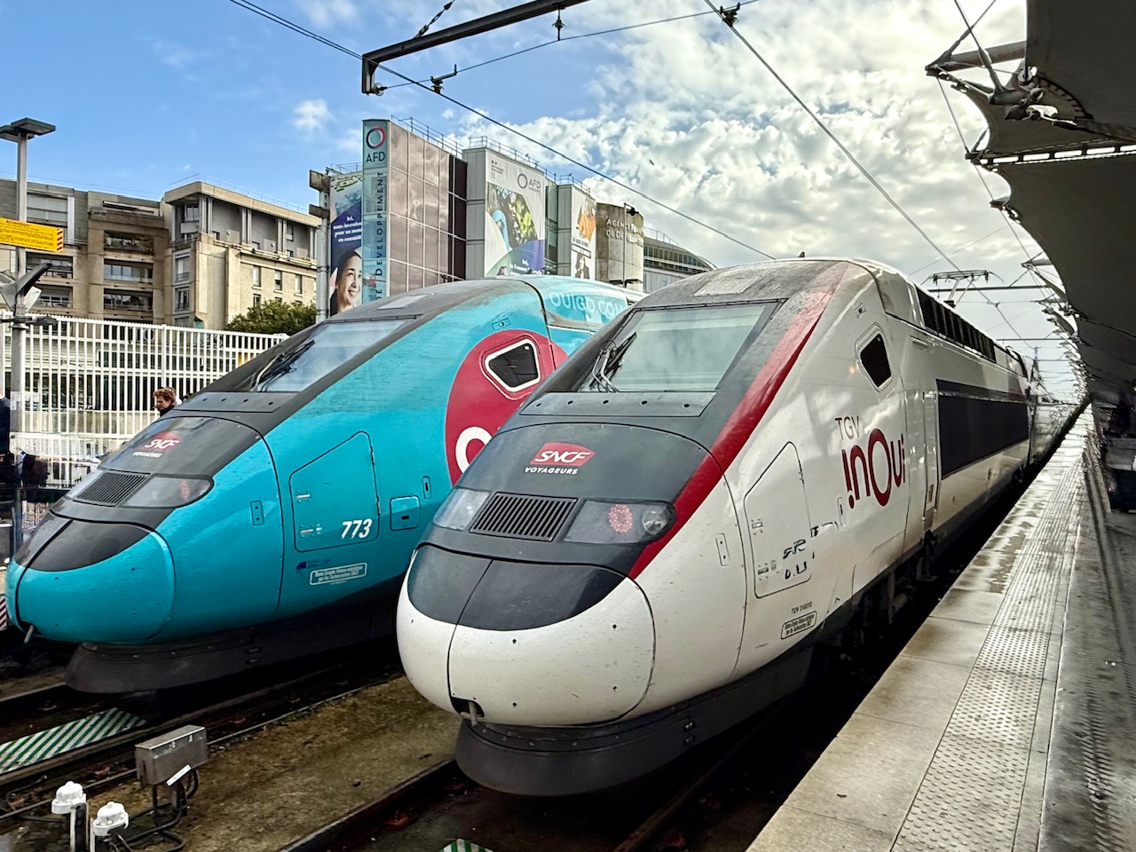 Two TGV high speed trains parked at the Gare de Lyon station in Paris