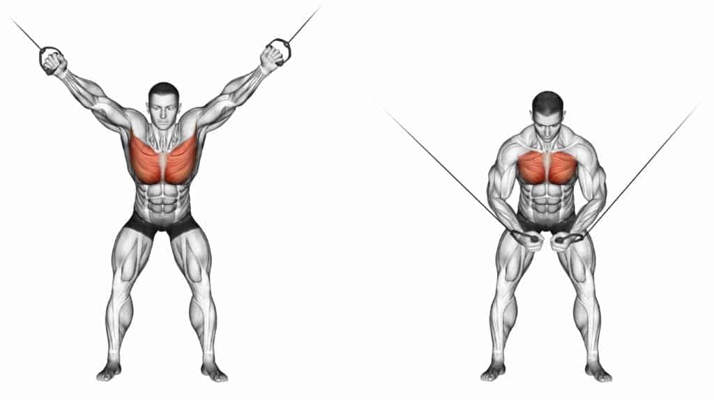 chest fly pulses done with a cable machine at the gym