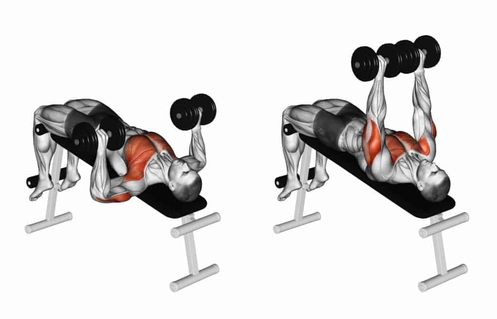 decline dumbbell bench press, tutorial highlighting what muscle group is being used