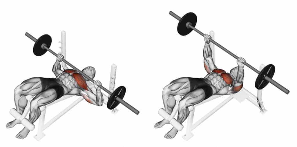 Decline barbell bench press