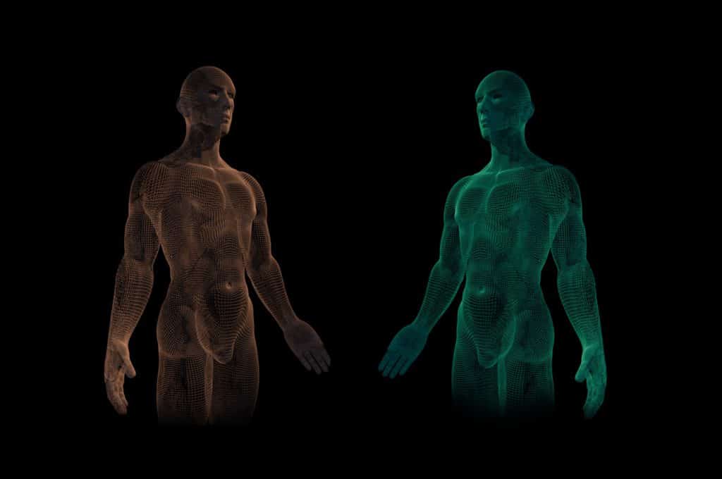 computer generated images of the human body one in an orange hue and the other in a green hue. on a black background