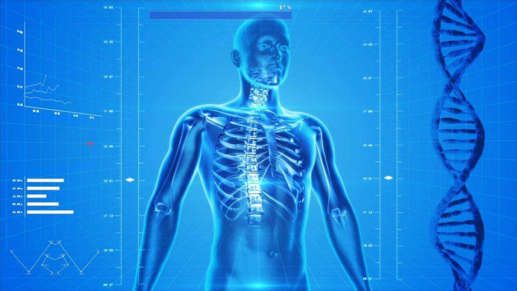 an x-ray of the upper torso of a male showing how bones are affected once you get older