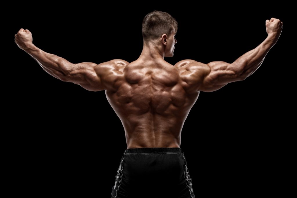 fit young male showing his developed back muscles from doing pull ups