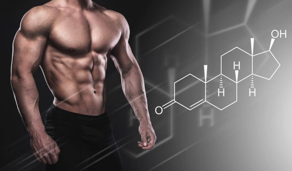 A make bodybuilder standing on a black background with the chemical composition of a creatine cycle next to him.